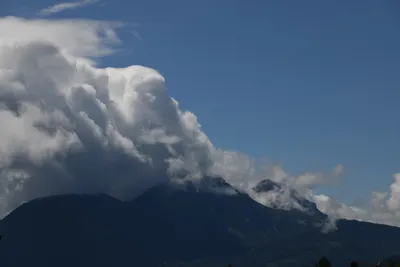 DSC_6312 (Large).JPG